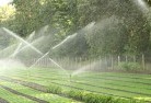 South Endlandscaping-water-management-and-drainage-17.jpg; ?>